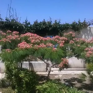 Domus Austri Casa vacanze Messina